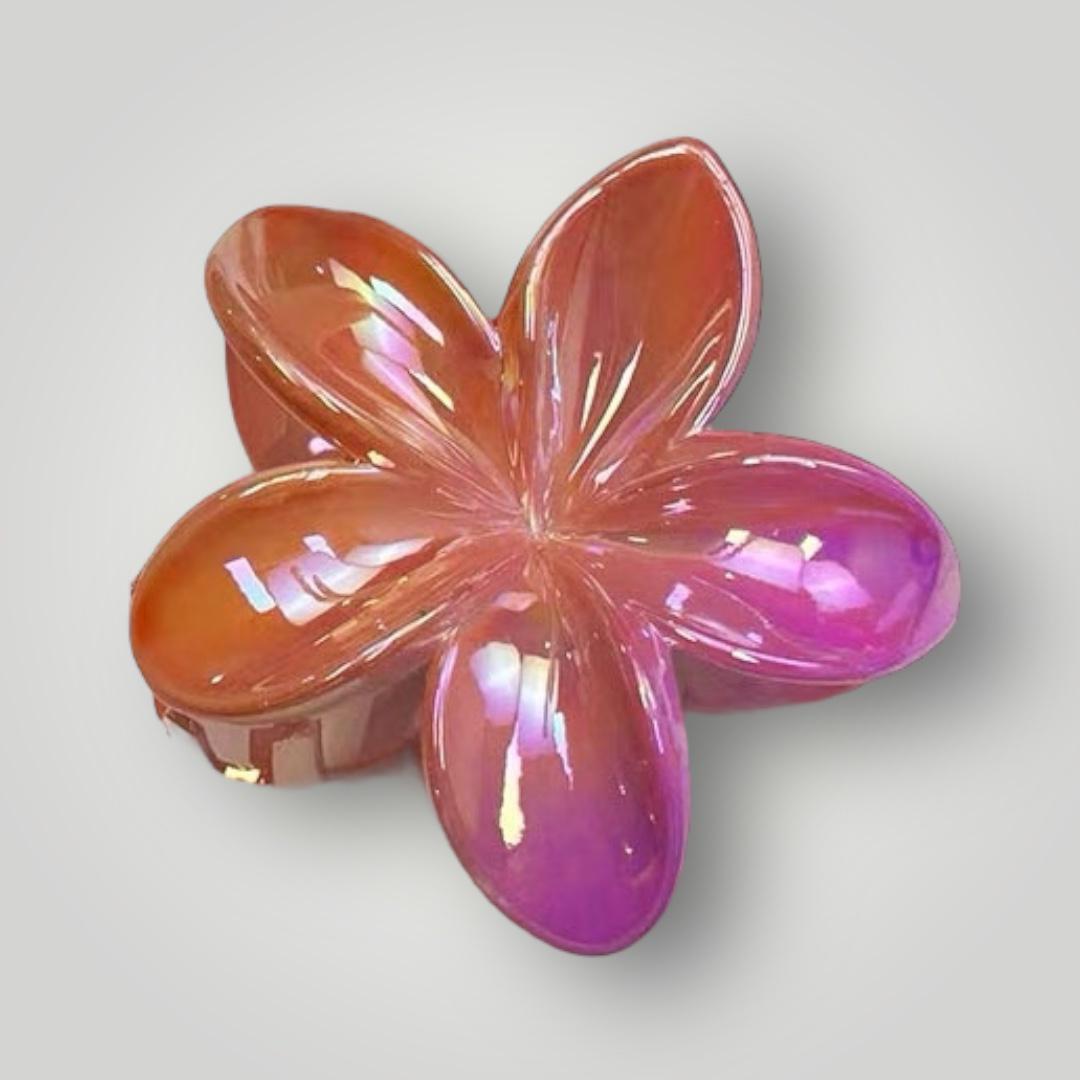 Plumeria Sparkle - 8cm