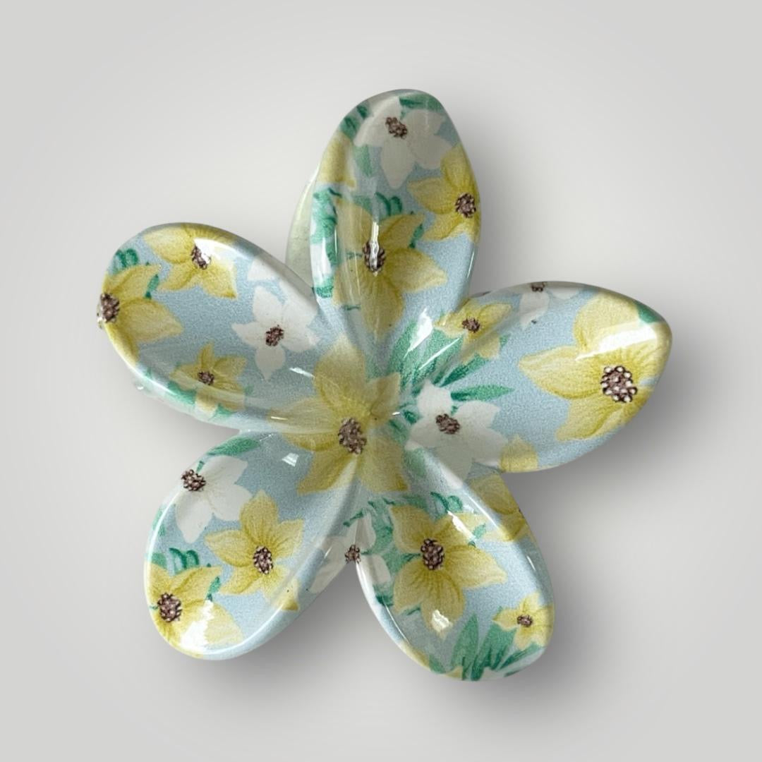 Plumeria Vibrance - 8cm