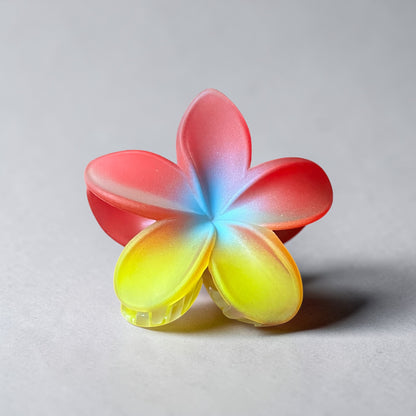 Plumeria Rainbow