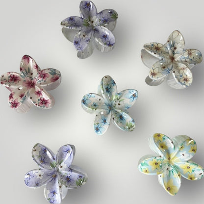 Plumeria Vibrance - 8cm