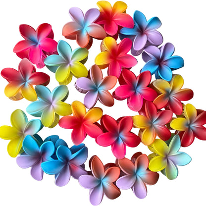 Plumeria Rainbow