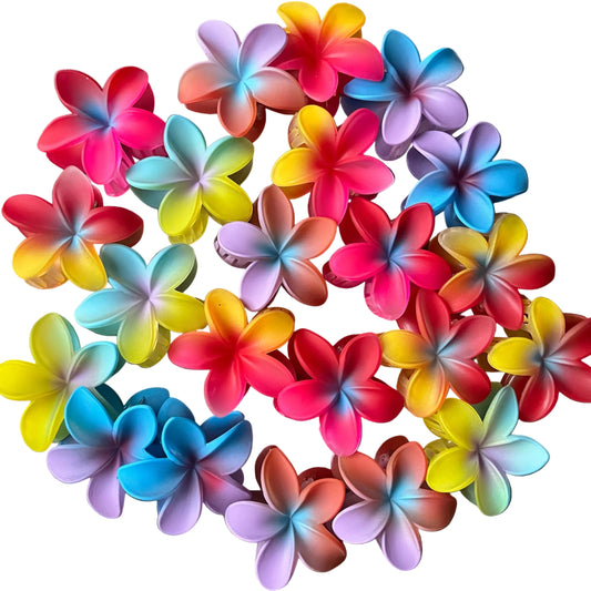 Plumeria Rainbow