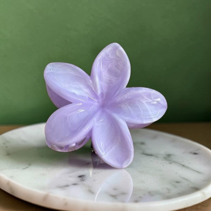 Plumeria Bloom Pastels