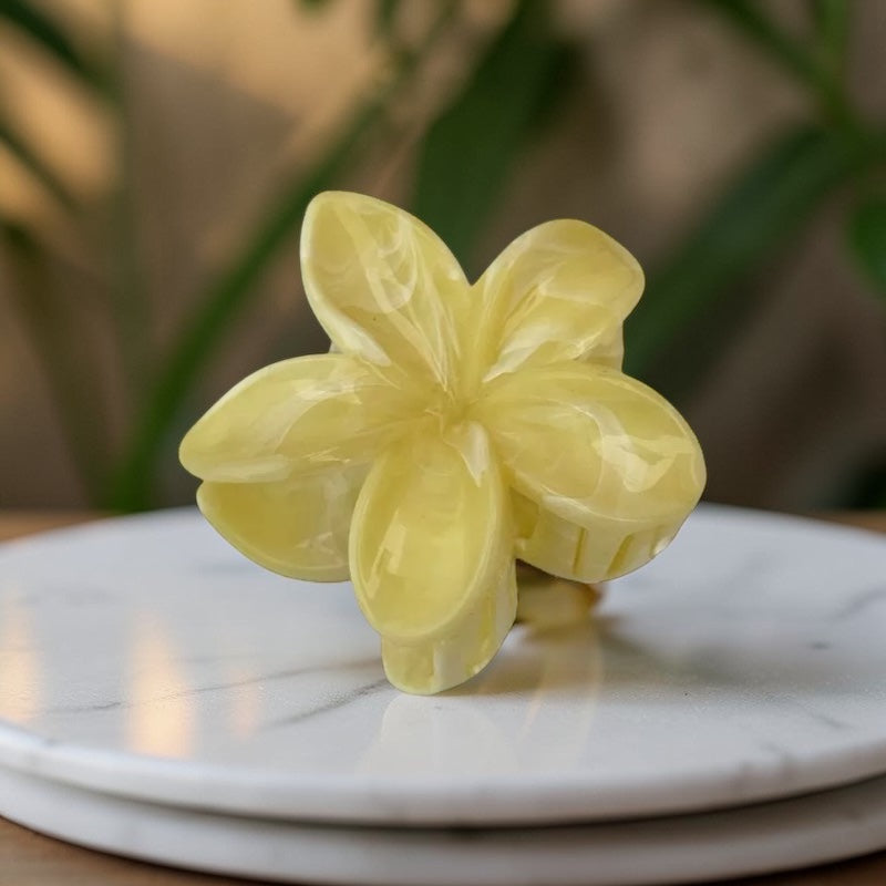 Plumeria Bloom Pastels