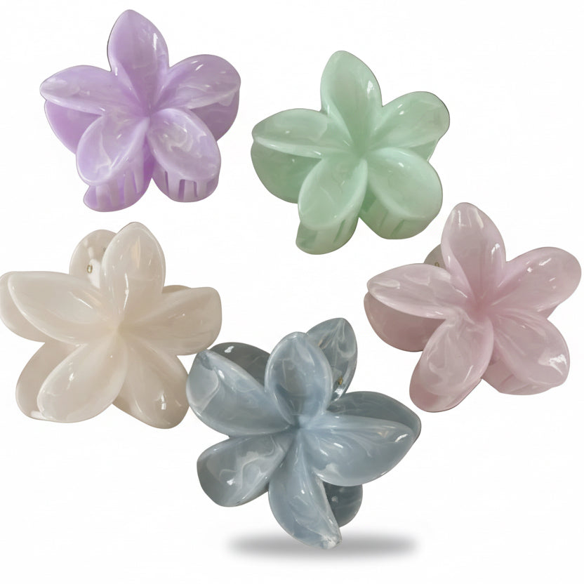 Plumeria Bloom Pastels