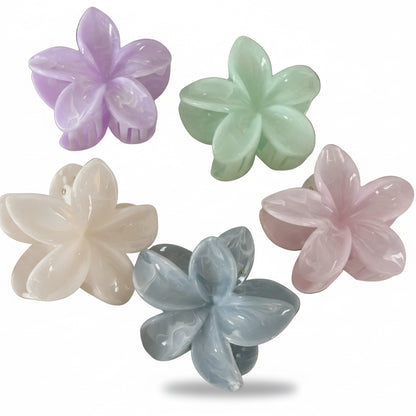 Plumeria Bloom Pastels