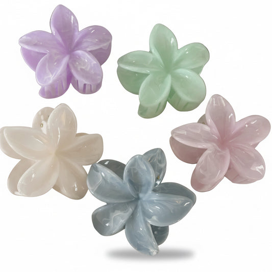 Plumeria Bloom Pastels