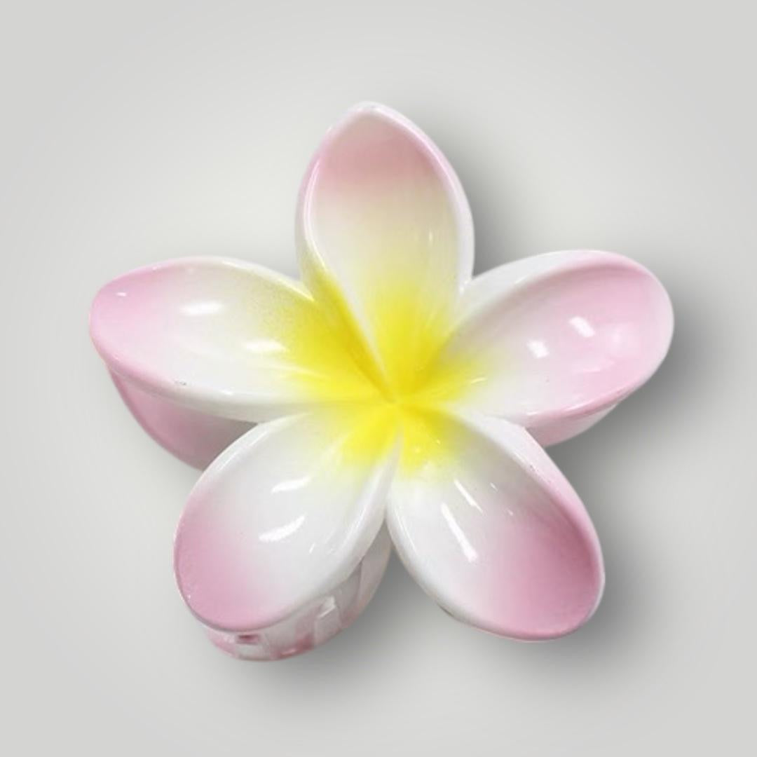 Plumeria Radiance - 8cm
