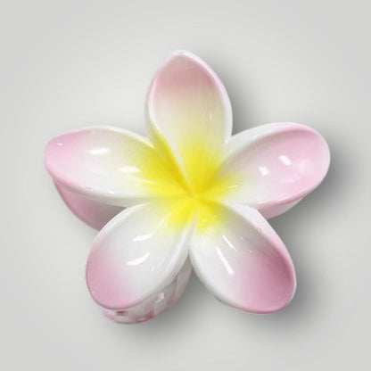 Plumeria Radiance - 8cm