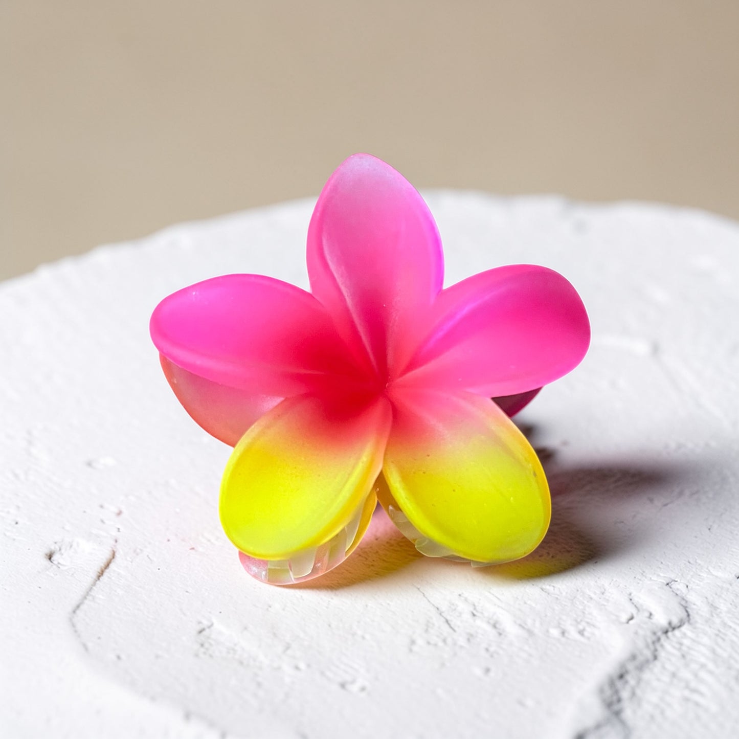 Plumeria Rainbow