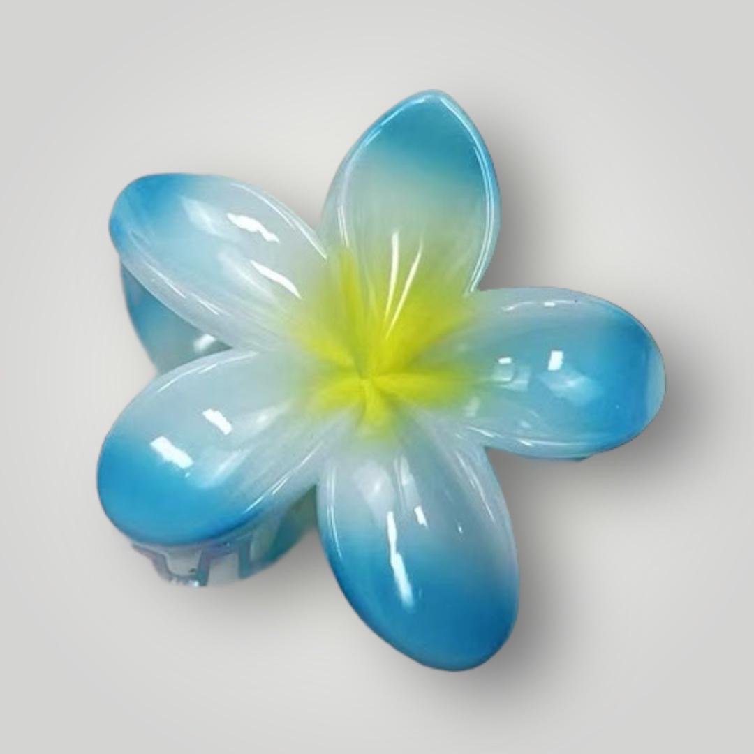 Plumeria Radiance - 8cm