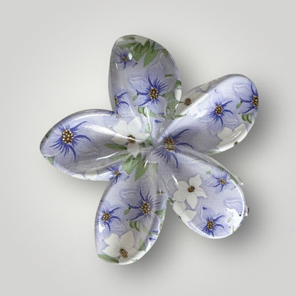 Plumeria Vibrance - 8cm