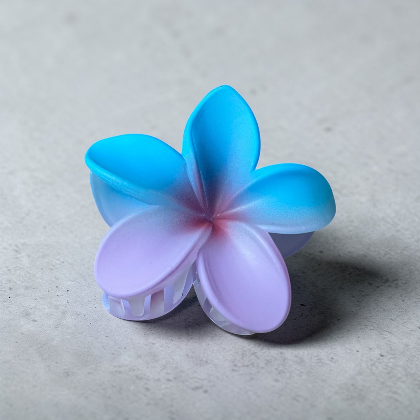 Plumeria Rainbow