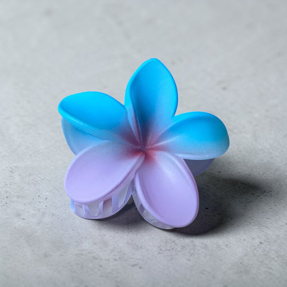 Plumeria Rainbow