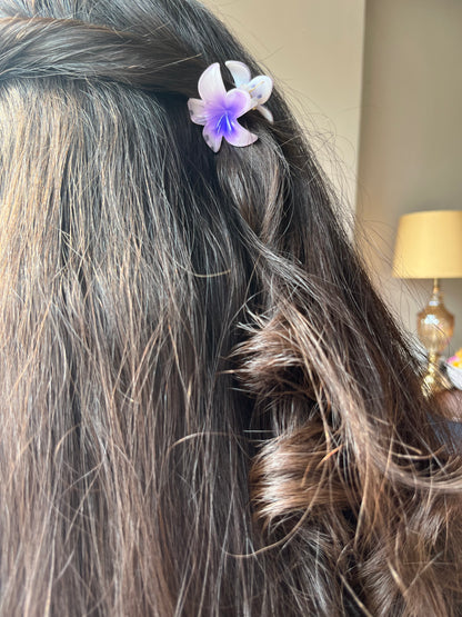 Plumeria Bloom mini (4cm)