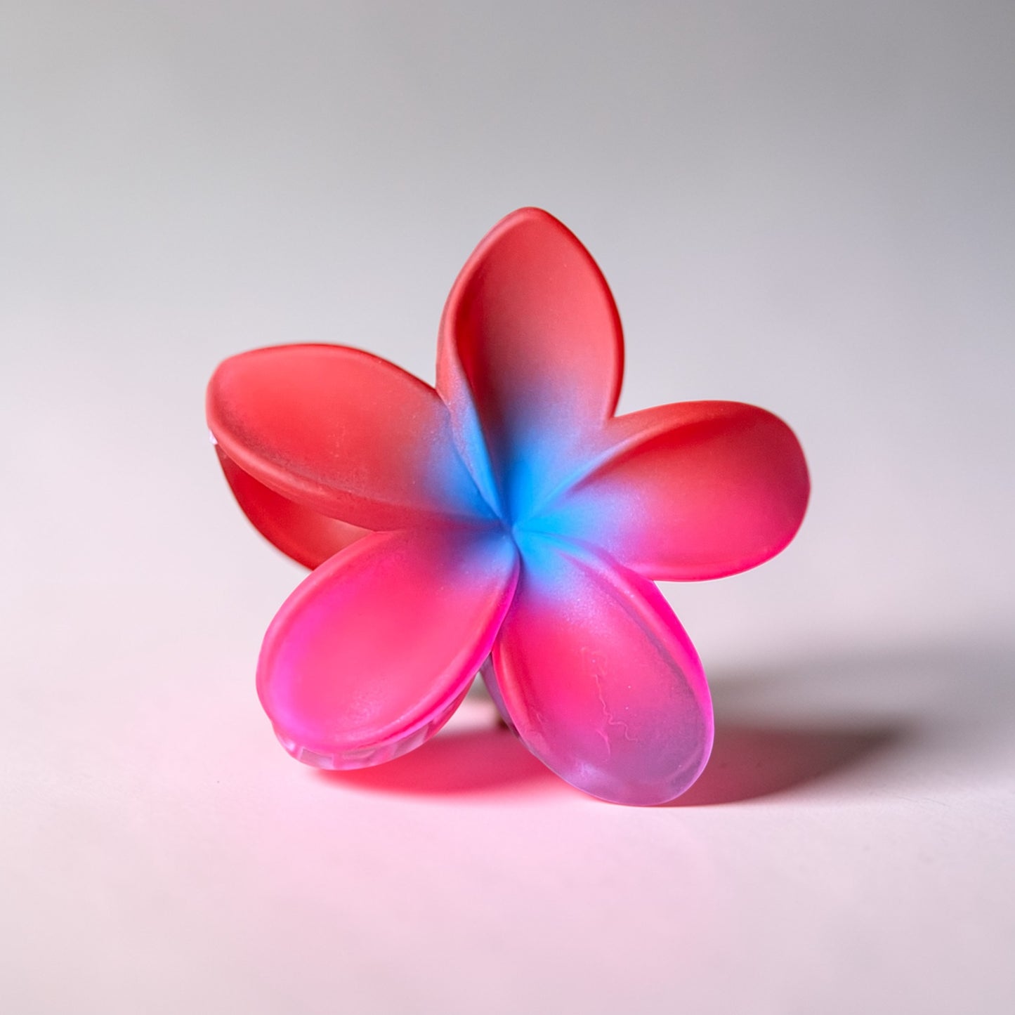 Plumeria Rainbow