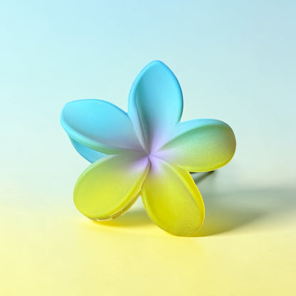 Plumeria Rainbow