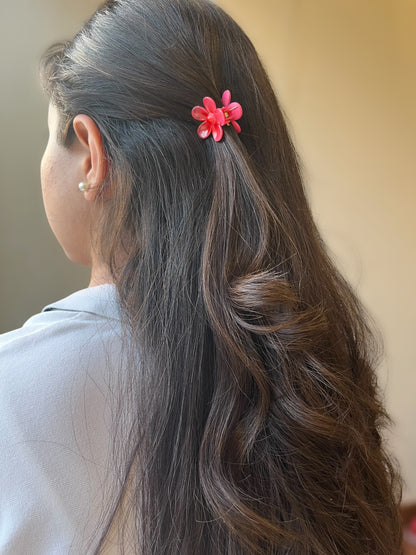 Daisy Pop - Pack of 2