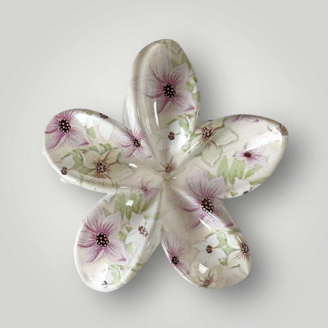 Plumeria Vibrance - 8cm