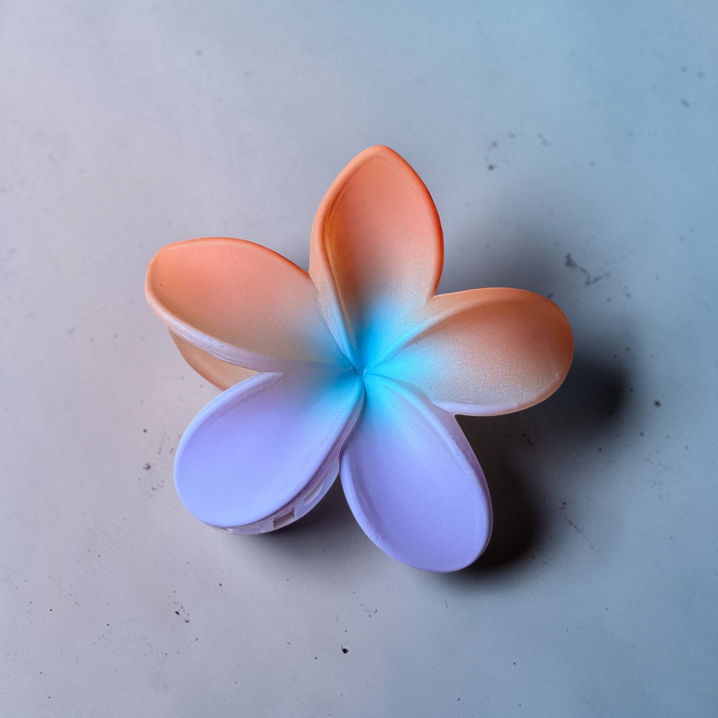 Plumeria Rainbow