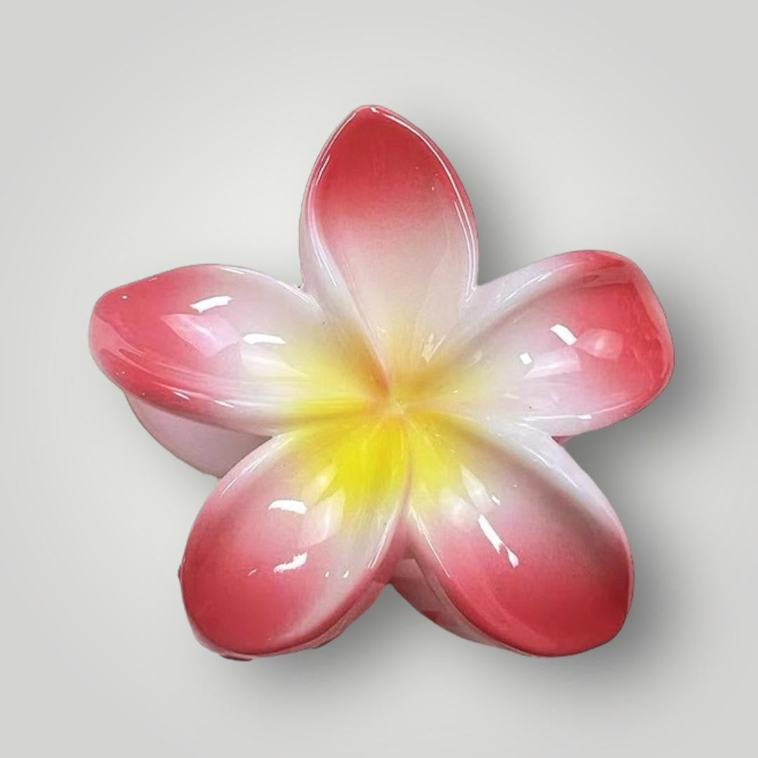 Plumeria Radiance - 8cm