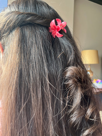 Plumeria Bloom mini (4cm)