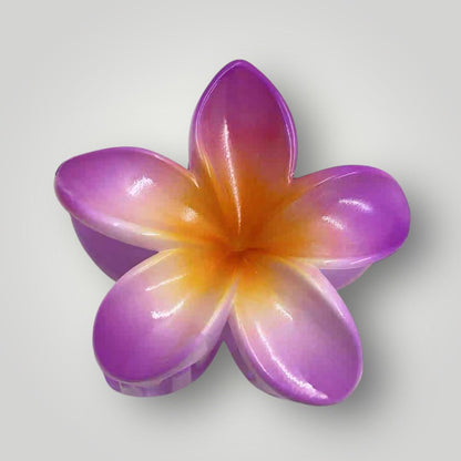 Plumeria Radiance - 8cm