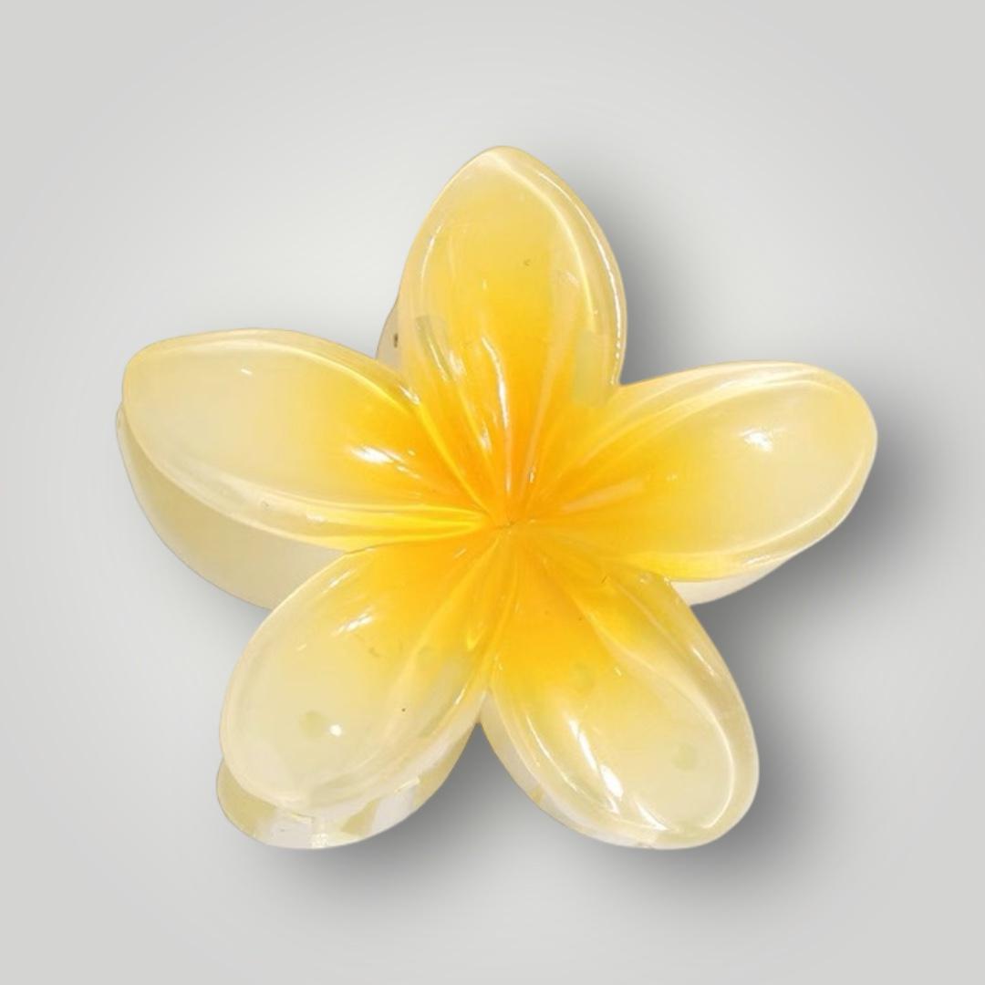 Plumeria Bloom (7.5cm)