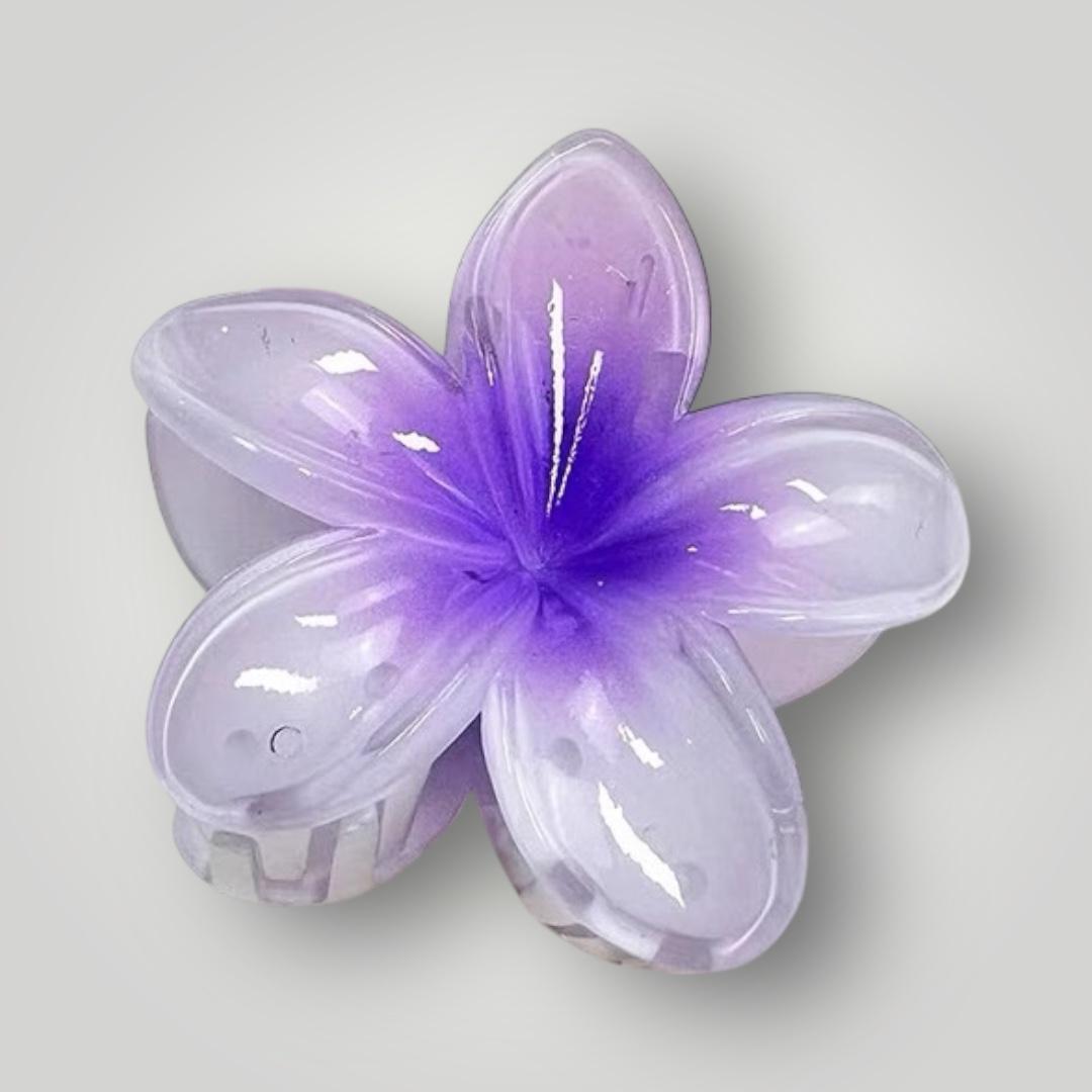 Plumeria Bloom (7.5cm)