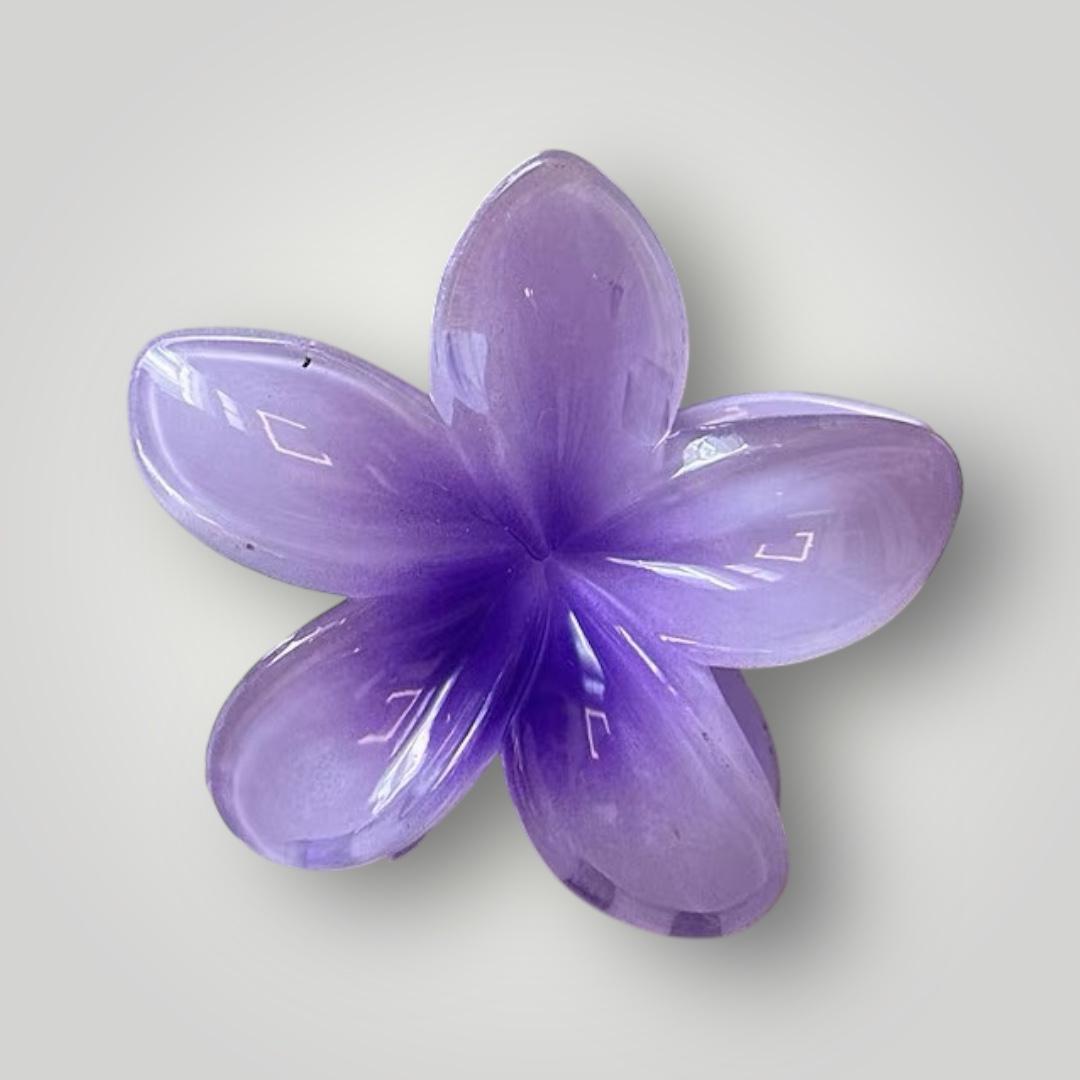 Plumeria Bloom (7.5cm)