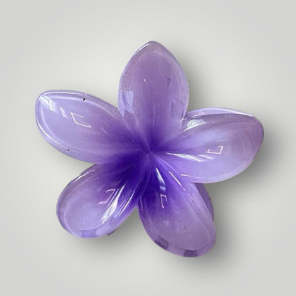 Plumeria Bloom (7.5cm)