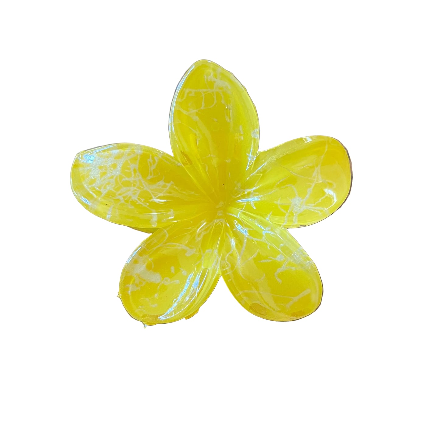 Plumeria Spring
