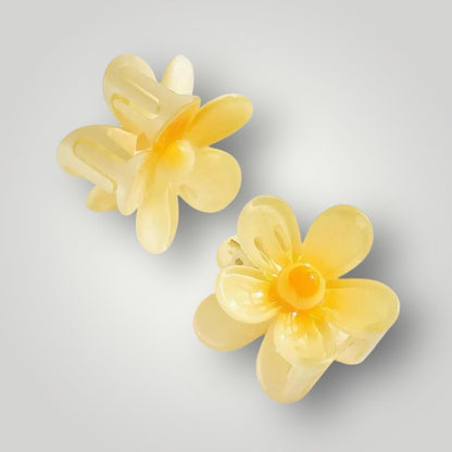 Daisy Pop - Pack of 2