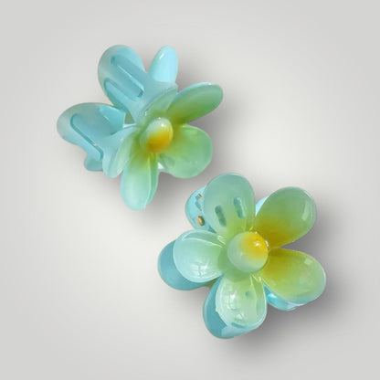 Daisy Pop - Pack of 2