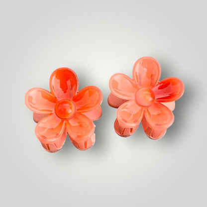 Daisy Pop - Pack of 2