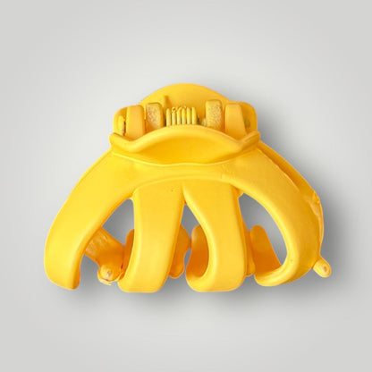 Mini Pop - Pack of 6