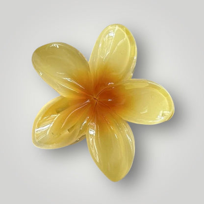 Plumeria Bloom (7.5cm)