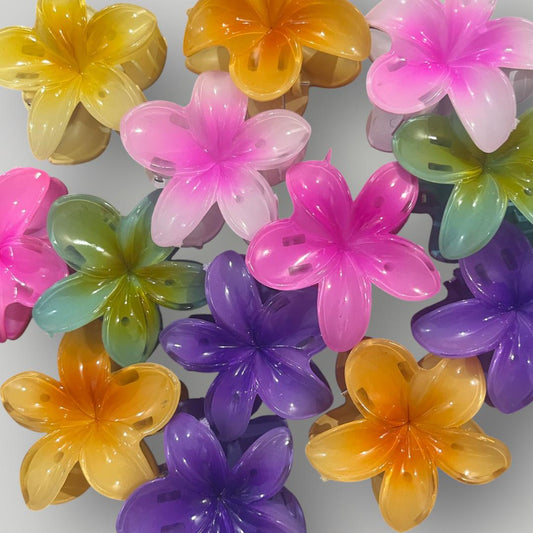 Plumeria Bloom Classic (5.5cm)