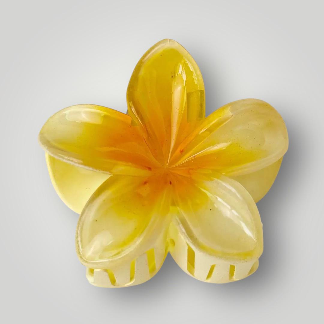 Plumeria Bloom Classic (5.5cm)