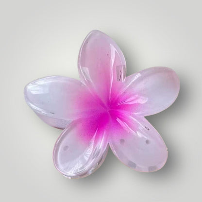 Plumeria Bloom Classic (5.5cm)