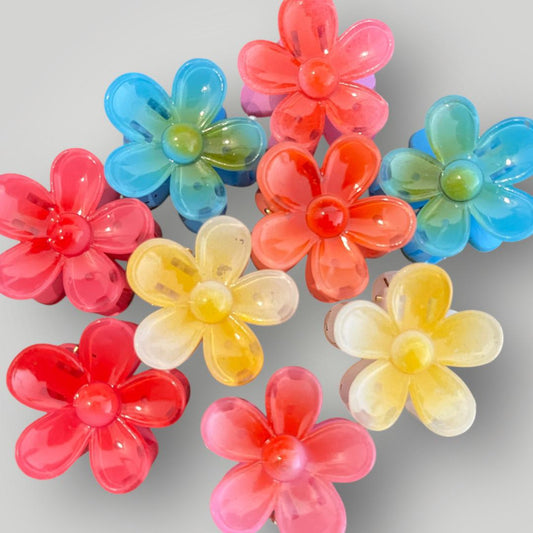 Daisy Pop - Pack of 2